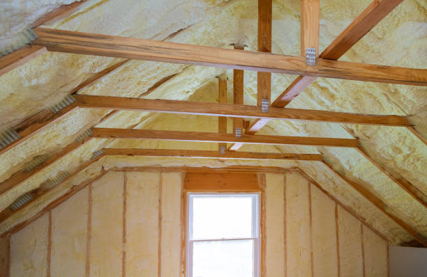 Best Insulation for New Construction  in Gruver, TX