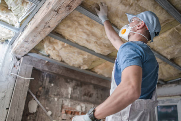 Best Wall Insulation Contractor  in Gruver, TX