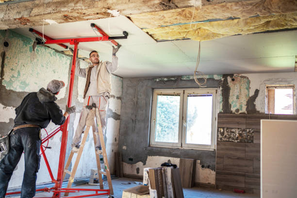 Best Insulation Removal  in Gruver, TX