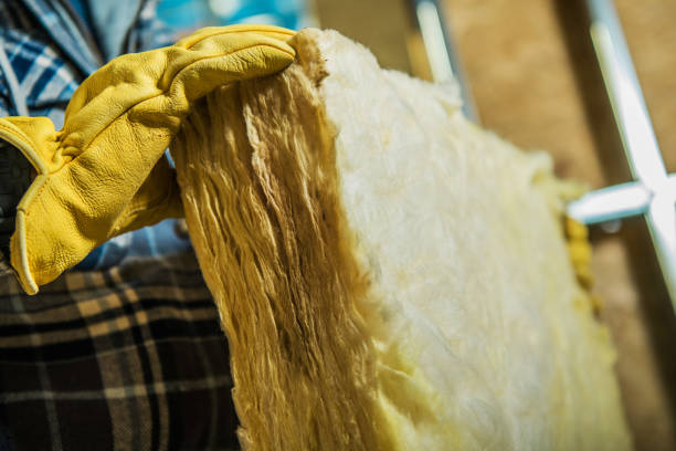 Best Soundproof Insulation Installation  in Gruver, TX