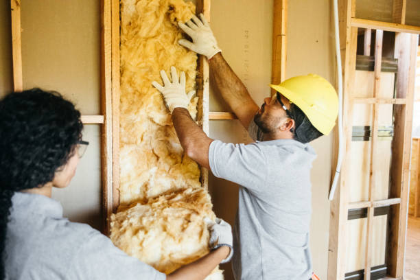 Best Spray Foam Insulation  in Gruver, TX